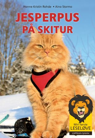 Jesperpus på skitur 9788202595203 Aina Stormo Hanne Kristin Rohde Brukte bøker