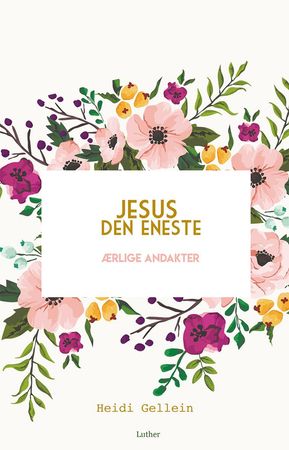 Jesus den eneste 9788253148625 Heidi Gellein Brukte bøker