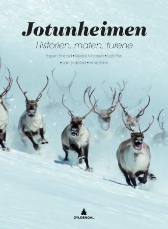 Jotunheimen 9788205408890 Jan Stokstad Lars Pilø Reidar Marstein Espen Finstad Arne Brimi Brukte bøker