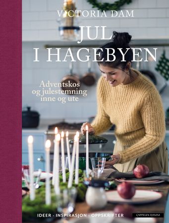 Jul i hagebyen 9788202754389 Victoria Dam Brukte bøker