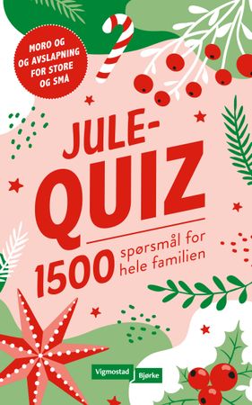 Julequiz 9788241934780  Brukte bøker