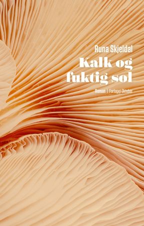 Kalk og fuktig sol 9788249527823 Runa Skjeldal Brukte bøker