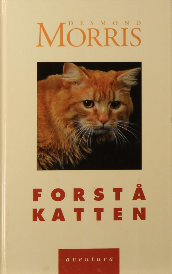 Illustrasjon av en katt for boken "Forstå katten" av Cappelen Damm AS, viser en søt katt i en innbundet bok.