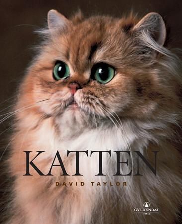 Katten 9788205335264 David Taylor Brukte bøker