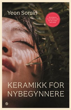 Keramikk for nybegynnere 9788248941354 So-min Yŏn Brukte bøker