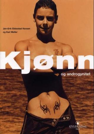 Kjønn og androgynitet 9788205276406 Kari Møller Jan-Erik Ebbestad Hansen Brukte bøker