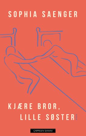 Kjære bror, lille søster 9788202781224 Sophia Saenger Brukte bøker