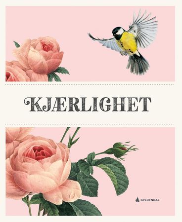 Kjærlighet 9788205526532  Brukte bøker