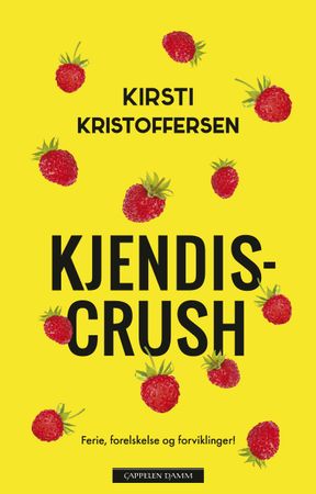 Kjendiscrush 9788202693053 Kirsti Kristoffersen Brukte bøker