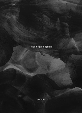 Kjolen 9788249516513 Vilde Heggem Brukte bøker