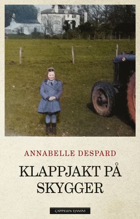 Klappjakt på skygger 9788202761486 Annabelle Despard Brukte bøker