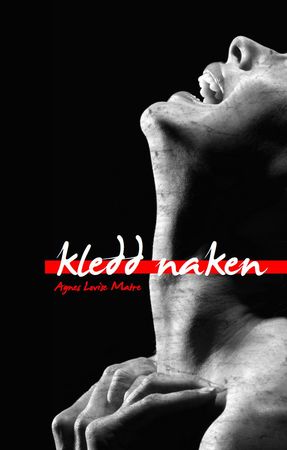 Kledd naken 9788293325291 Agnes Lovise Matre Brukte bøker