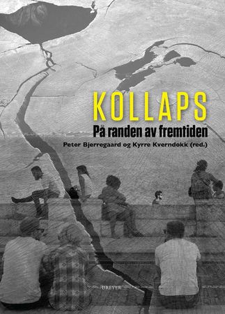 Kollaps 9788282654234  Brukte bøker
