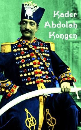 Kongen 9788205420038 Kader Abdolah Brukte bøker