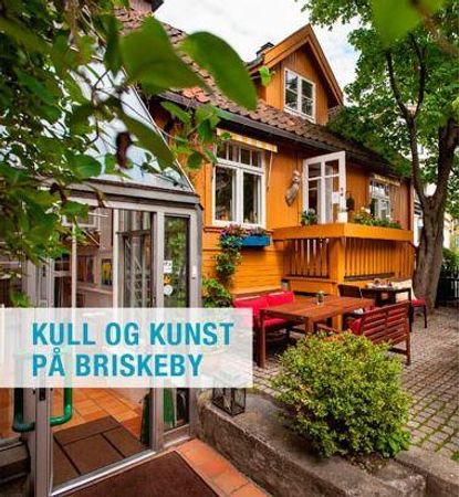 Kull og kunst på Briskeby 9788269041101 Arvid Møller Brukte bøker