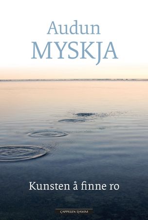 Kunsten å finne ro 9788202609177 Audun Myskja Brukte bøker