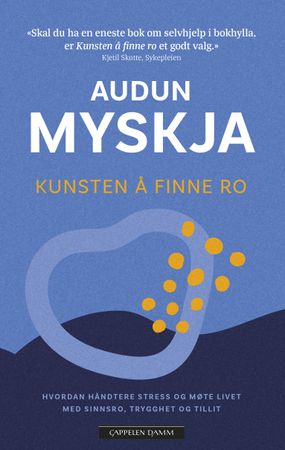 Kunsten å finne ro 9788202701321 Audun Myskja Brukte bøker