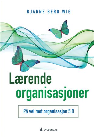 Lærende organisasjoner 9788205491489 Bjarne Berg Wig Brukte bøker