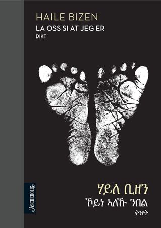 La oss si at jeg er 9788203377013   Brukte bøker