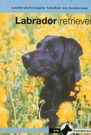 Labrador retriever 9788252929140  Brukte bøker