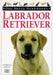 Labrador Retriever 9780751302677 Bruce Fogle Brukte bøker