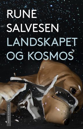 Landskapet og kosmos 9788202825843 Rune Salvesen Brukte bøker