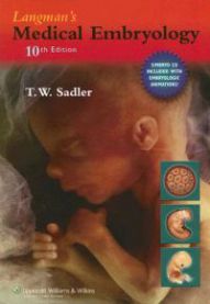 Langman's Medical Embryology 9780781794855 Thomas W. Sadler Brukte bøker