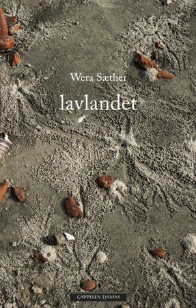 Lavlandet 9788202598907 Wera Sæther Brukte bøker