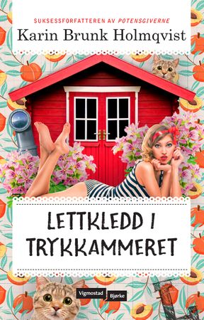 Lettkledd i Trykkammeret 9788241953859 Karin Brunk Holmqvist Brukte bøker