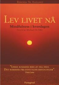 Lev livet nå : mindfulness i hverdagen 9788279003526 Rebekka Th. Egeland Brukte bøker