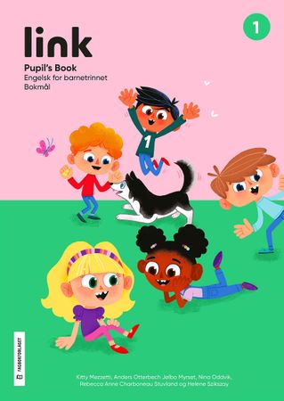 Link 1 9788211028068 Kitty Mezzetti Rebecca Anne Charboneau Stuvland Anders Otterbech Jølbo Myrset Helene Szikszay Nina Oddvik Brukte bøker