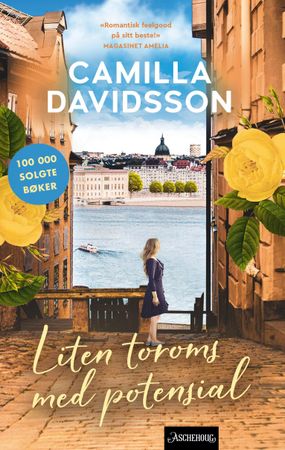 Liten toroms med potensial 9788203376047 Camilla Davidsson Brukte bøker