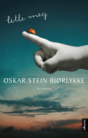 Litle meg 9788234008429 Oskar Stein Bjørlykke Brukte bøker