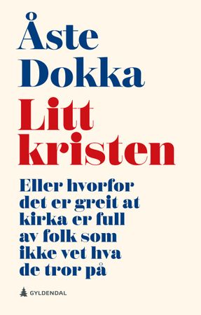 Litt kristen 9788205605756 Åste Dokka Brukte bøker
