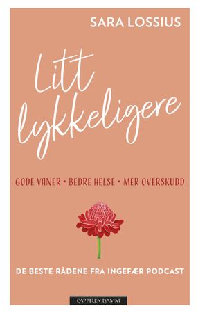 Litt lykkeligere 9788202656300 Sara Lossius Brukte bøker