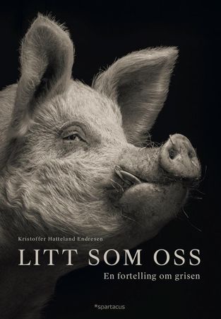 Litt som oss 9788243012905 Kristoffer Hatteland Endresen Brukte bøker