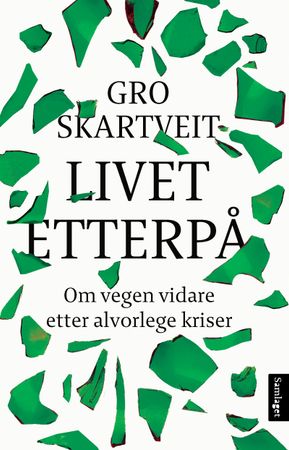 Livet etterpå 9788252192353 Gro Skartveit Brukte bøker