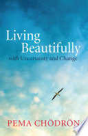 Living Beautifully 9781590309636 Pema Chodron Brukte bøker