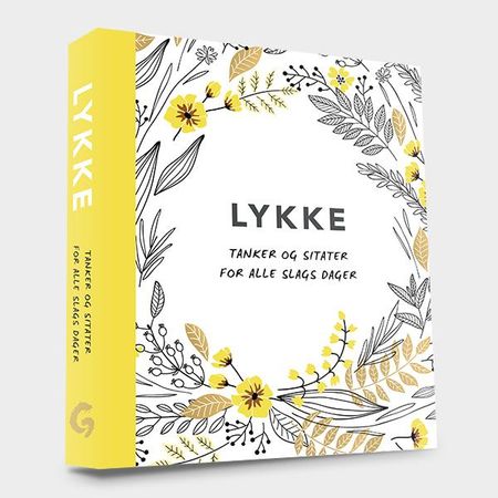 Lykke 9788247605233  Brukte bøker