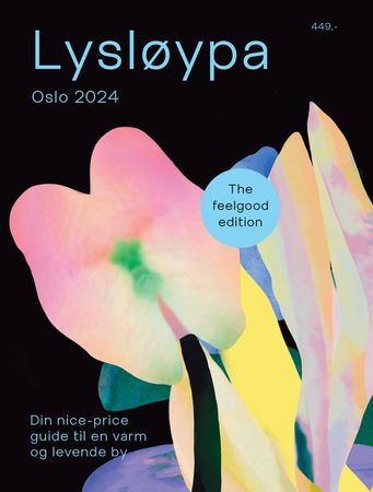 Lysløypa Oslo 2024 9788269341508  Brukte bøker
