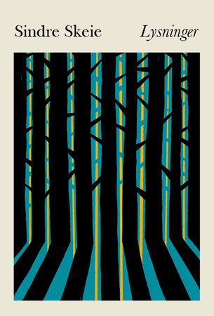 Lysninger 9788293368731 Sindre Skeie Brukte bøker