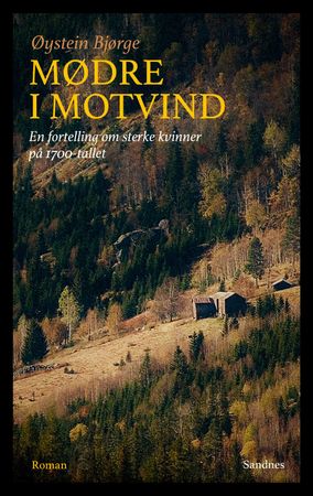 Mødre i motvind 9788292945568 Øystein Bjørge Brukte bøker