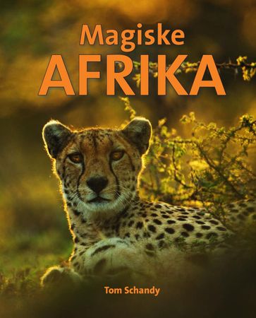 Magiske Afrika 9788270074228 Tom Schandy Brukte bøker