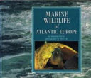 Marine Wildlife of Atlantic Europe 9780907151814 Amanda Young Brukte bøker
