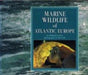 Marine Wildlife of Atlantic Europe 9780907151814 Amanda Young Brukte bøker