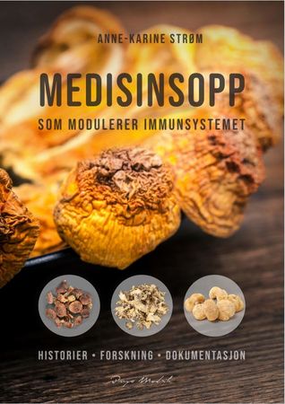 Medisinsopp 9788284300139 Anne-Karine Strøm Brukte bøker