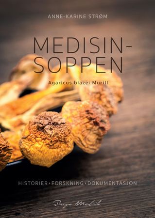 Medisinsoppen 9788293369196 Anne-Karine Strøm Brukte bøker