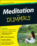 Meditation For Dummies, with Audio CD 9781118291443 Stephan Bodian Brukte bøker