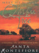 Meet me under the ombu tree 9780340769515 Santa Montefiore Brukte bøker