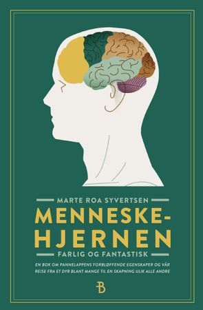 Menneskehjernen 9788284192352 Marte Roa Syvertsen Brukte bøker